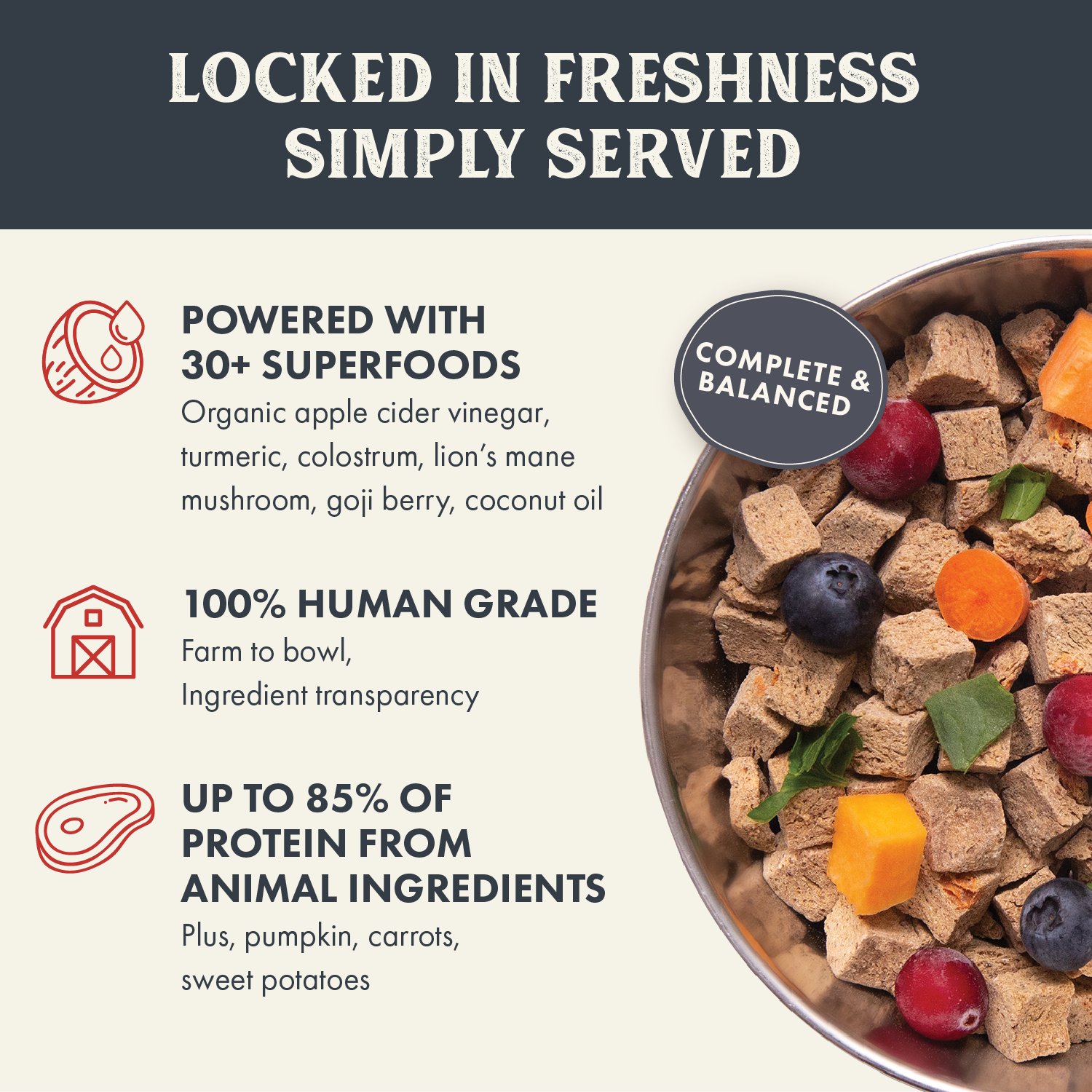 Gently Air Dried Beef Dog Food | Complete Air Dried Beef Recipe