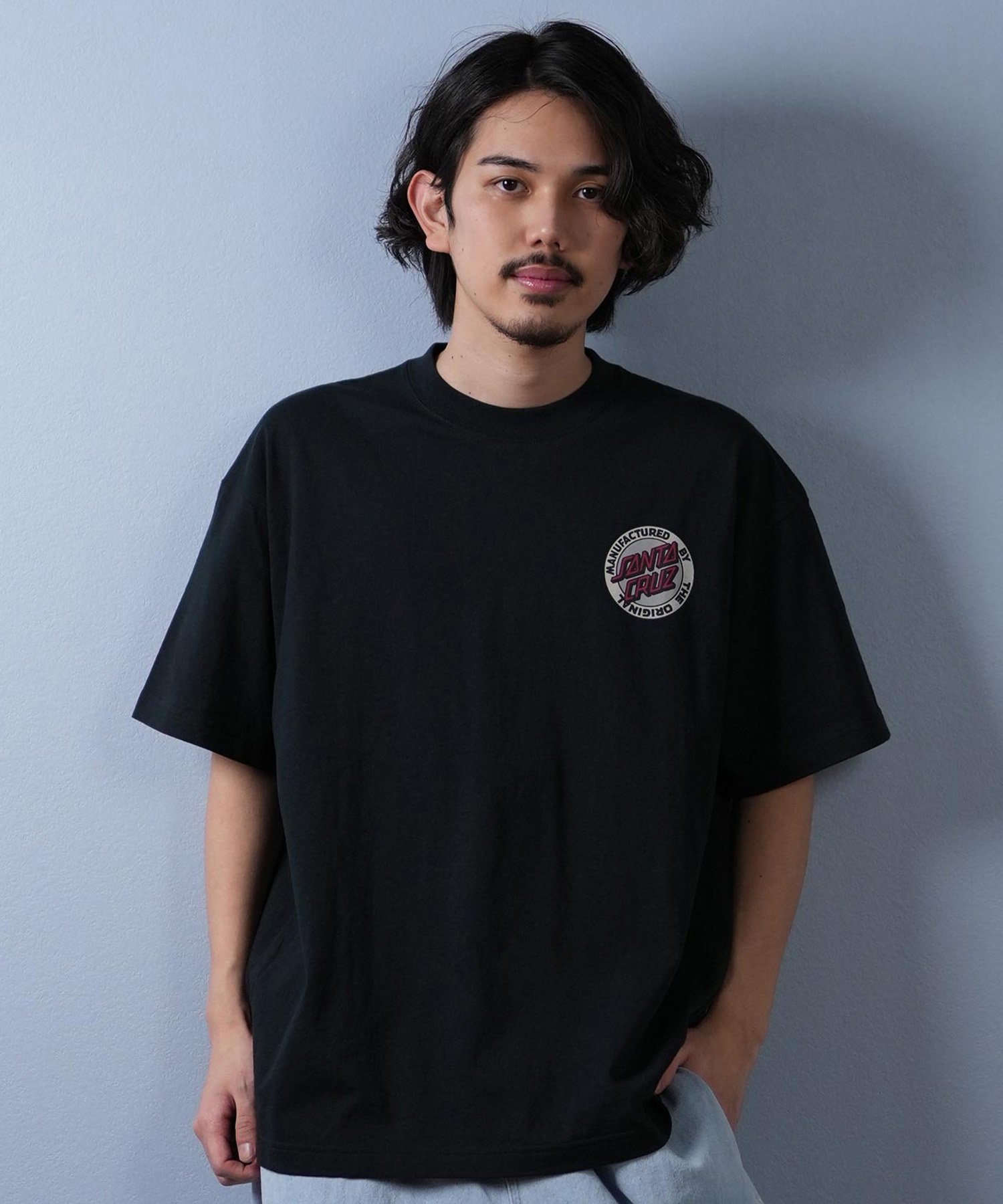 SANTACRUZ サンタクルーズ 半袖 Tシャツ メンズ バックプリント ロゴ