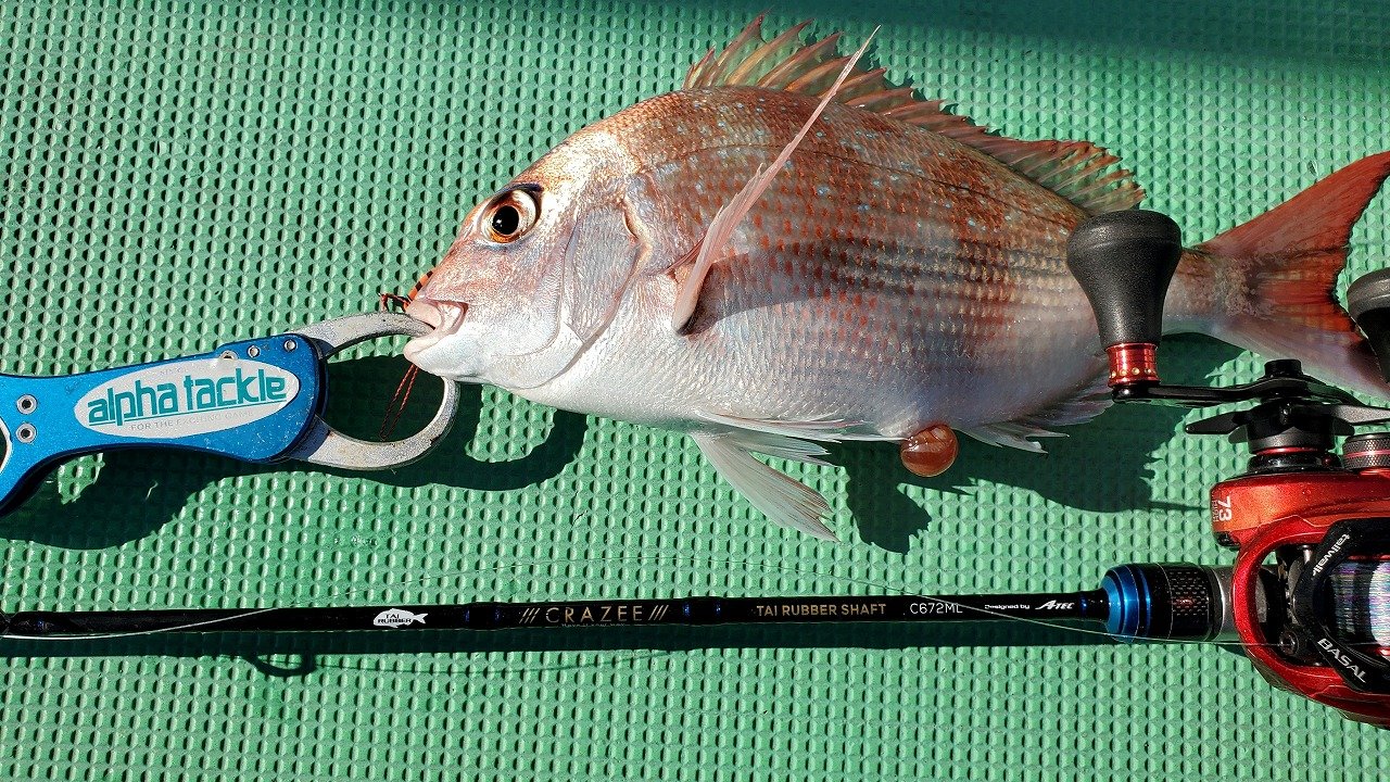 アルファタックル クレイジータイラバシャフトC672M 2ピース ベイト