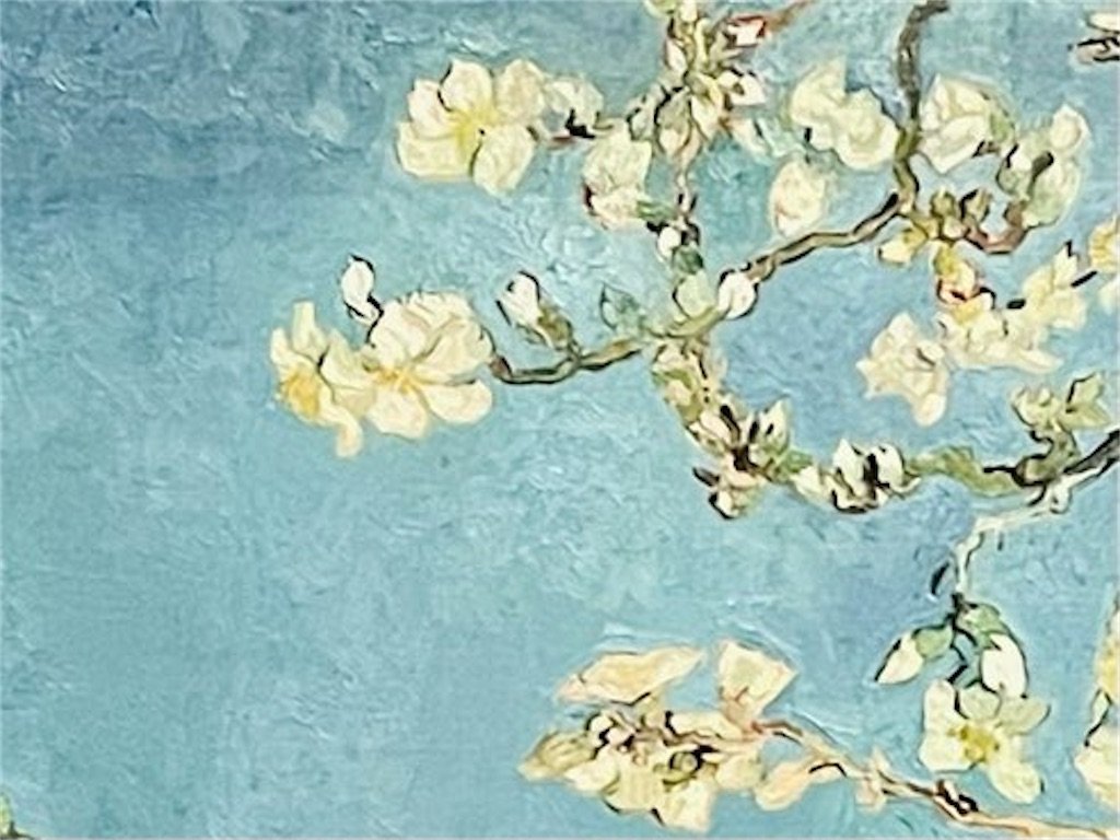 花咲くアーモンドの木の枝》ゴッホが贈った世界、祝福は青空に咲いた