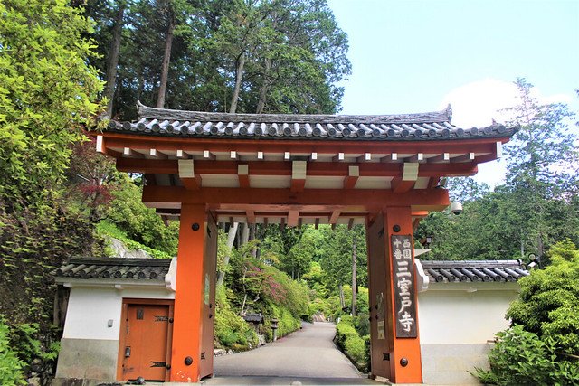 三室戸寺（京都）｜あじさいで有名な”花の寺”現地レポ【西国三十三所10