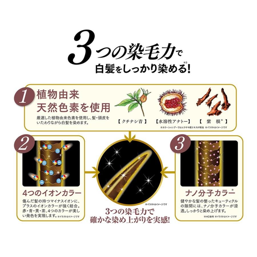 利尻 ピュール 利尻ヘアカラートリートメント ナチュラルブラウン 200g