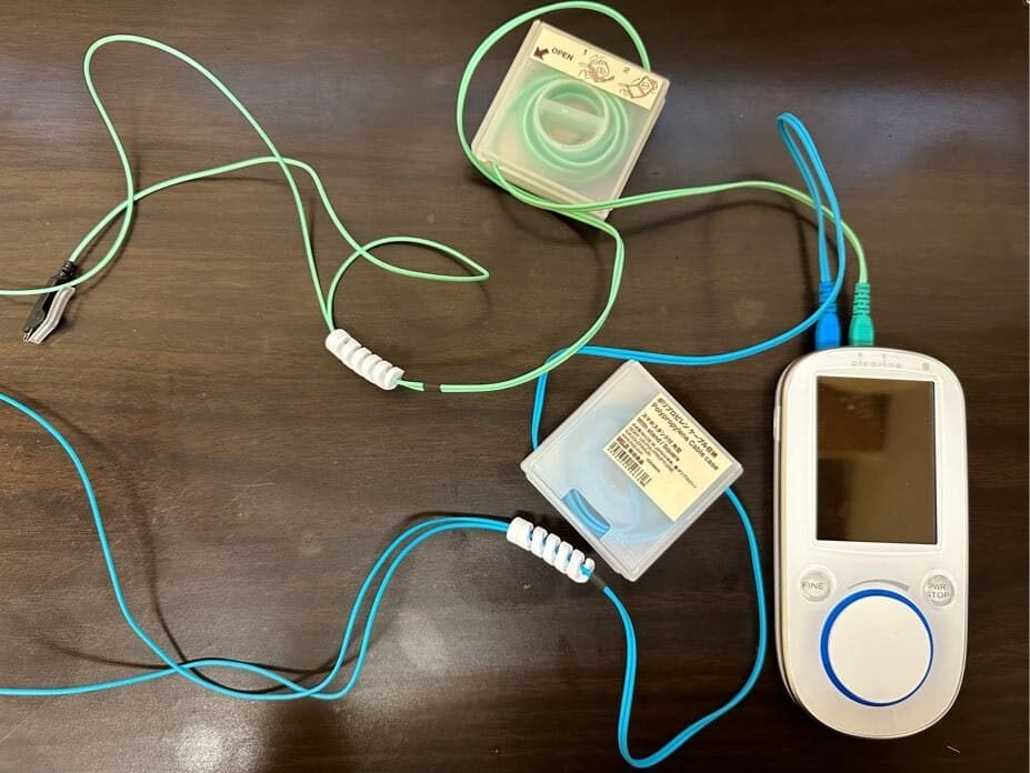 ピコリナVS中国式パルス