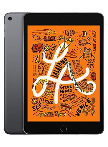 Amazon.co.jp: 2019 iPad mini Wi-Fi 256GB - スペースグレイ