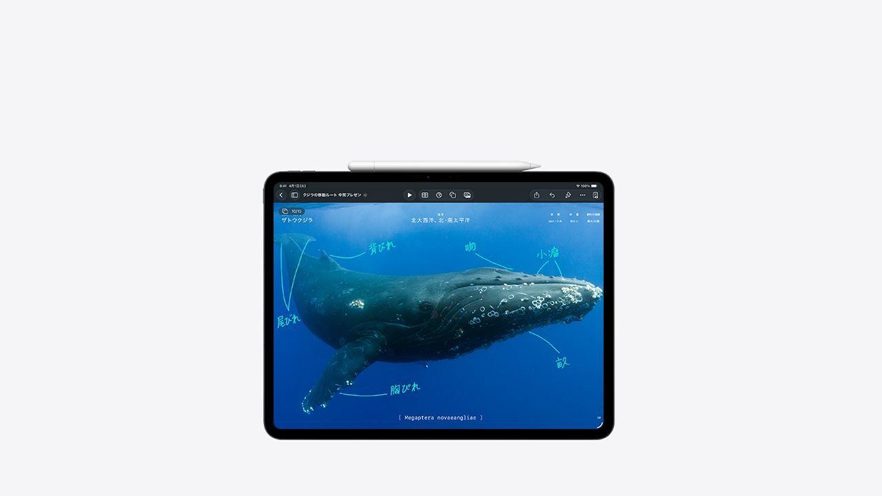 ipad-pro-apple-pencil-unselect