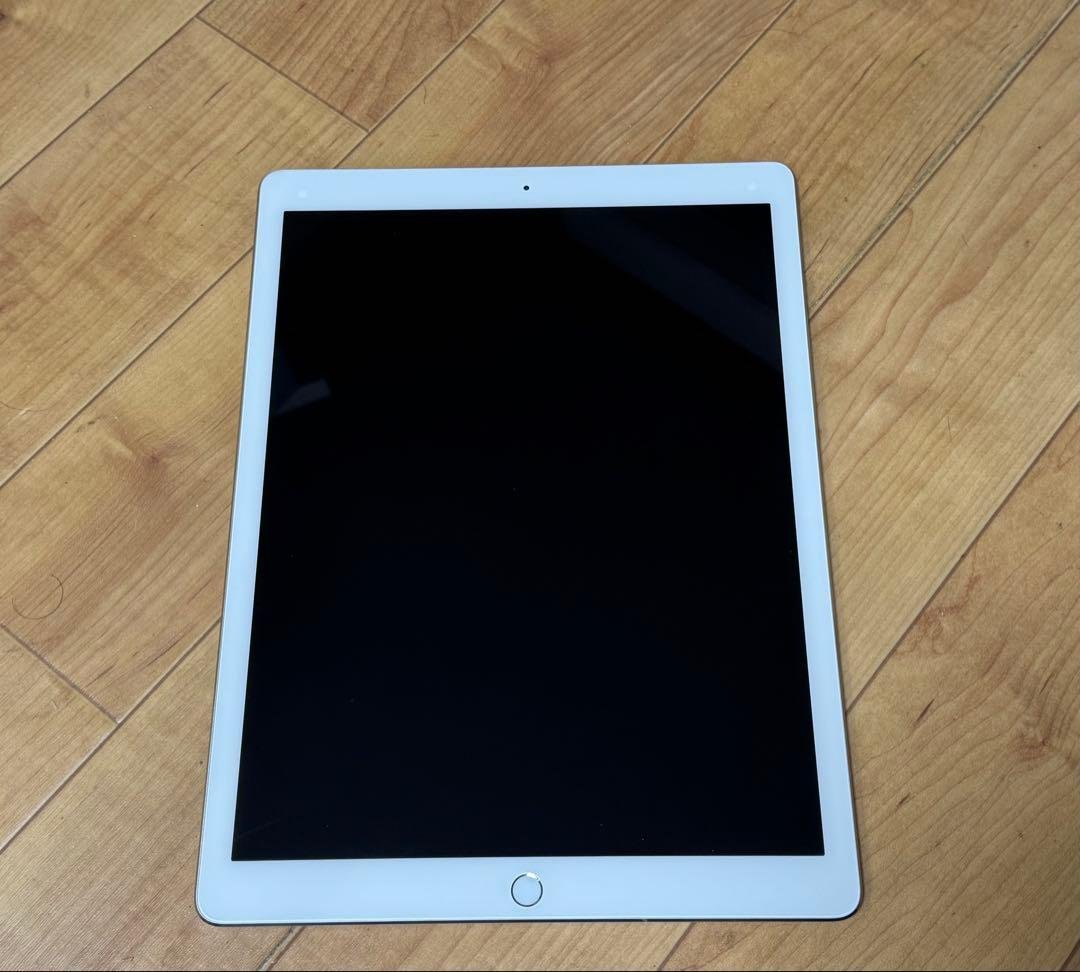 中古 iPad 本体 動作確認済み APPLE 〔中古〕iPad Pro 12.9ｲﾝﾁ (第4世代) Wi-Fi 256GB ｽﾍﾟｰｽｸﾞﾚｲ